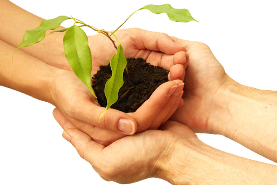 Pass Commerce Ecoresponsable