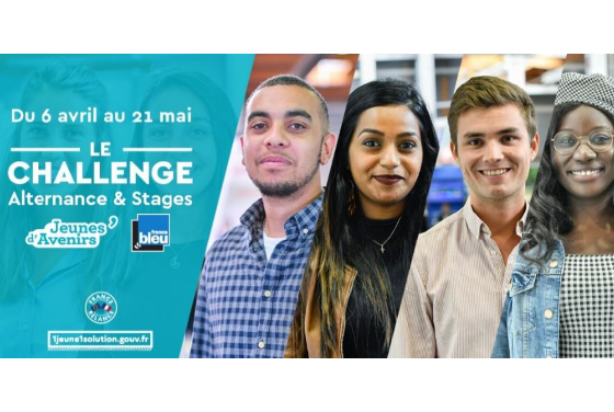 Insertion professionnelle des jeunes