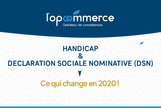 Déclaration sociale nominative (DSN)