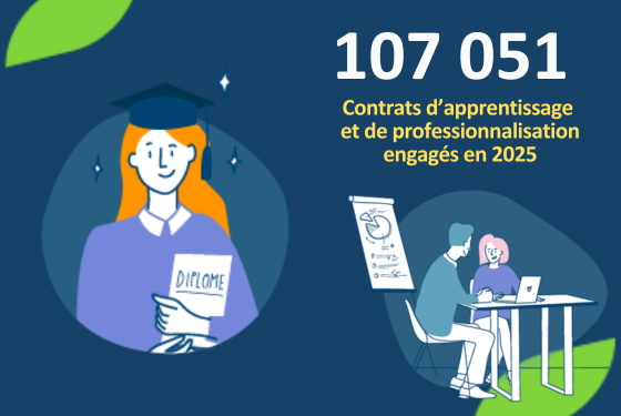 Insertion professionnelle