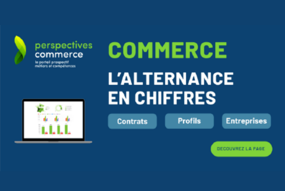 Perspectives Commerce  