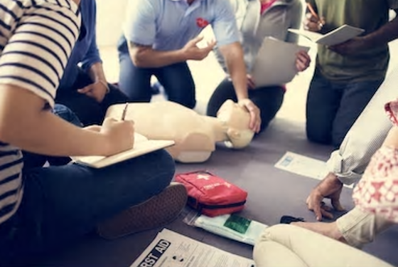 Formation professionnelle