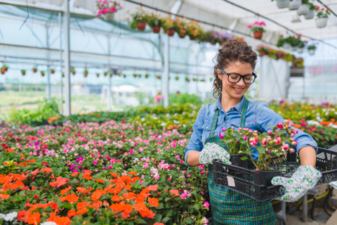 Jardineries et graineteries