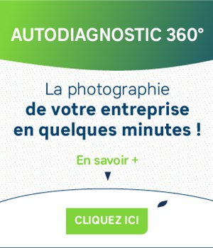 Autodiagnostic 360
