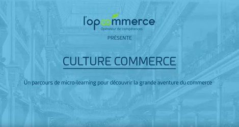 Culture Commerce