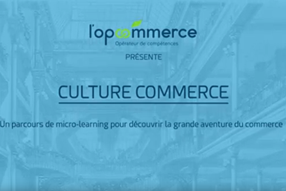 Culture Commerce