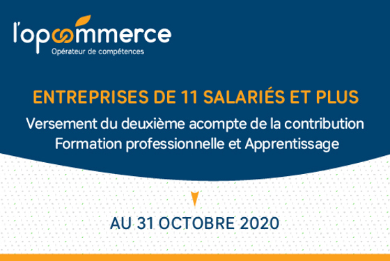 Entreprises de 11 salariés et plus