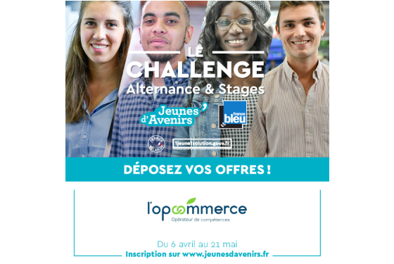 Insertion professionnelle des jeunes